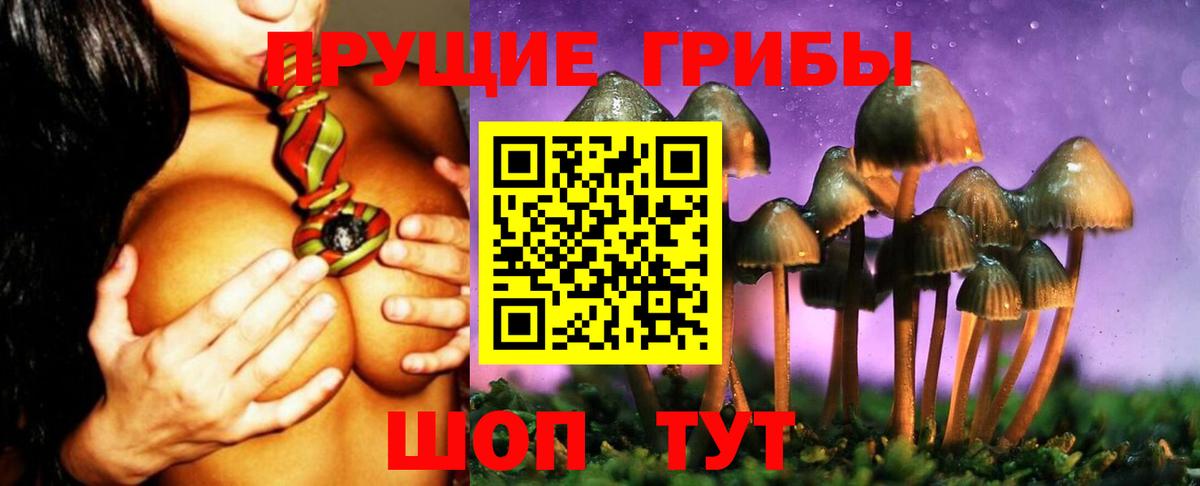 Галлюциногенные грибы Psilocybine cubensis Уссурийск