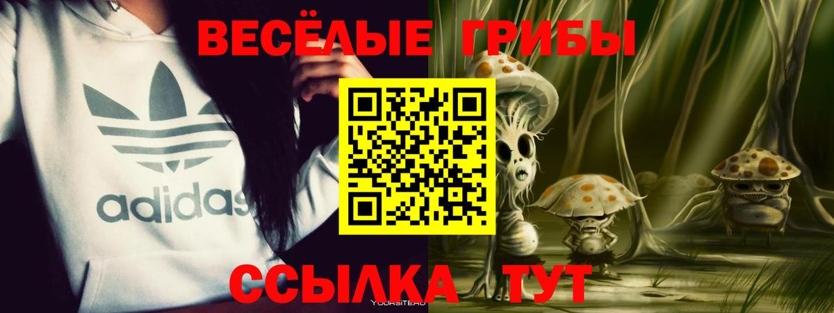 Уссурийск  Галлюциногенные грибы Psilocybe  Галлюциногенные грибы Psilocybine cubensis  Вход с VPN 